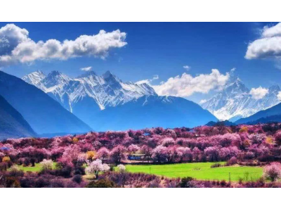林芝南伊沟离印度边境有多远？